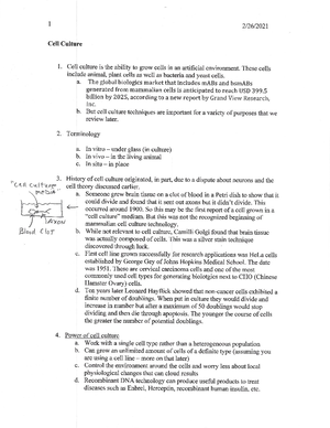 Insulin Signaling - by Kristy J. Wilson School of Mathematics and ...