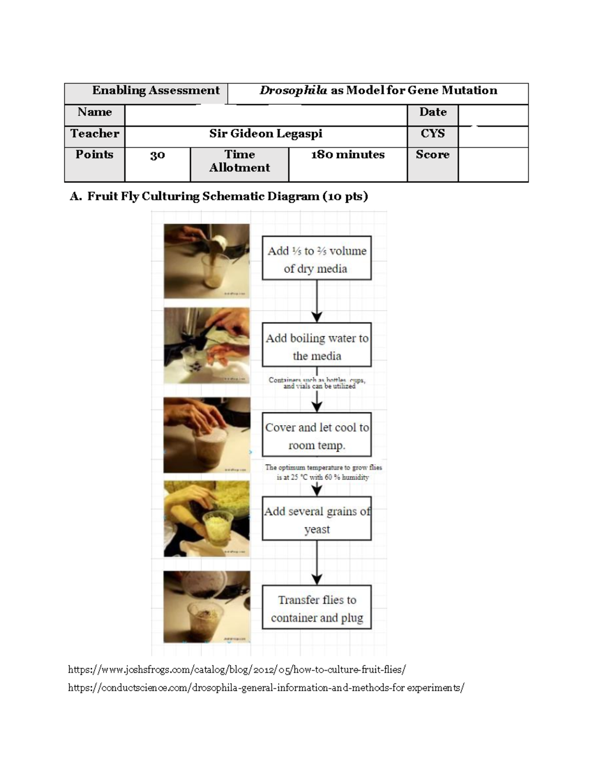 Drosophila Worksheet Enabling Assessment Drosophila as Model for Gene Mutation Name Co, Mary