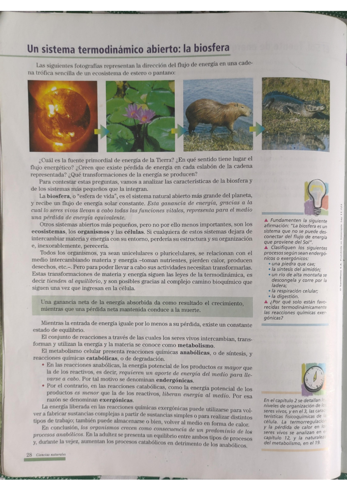 Cs. Biológicas I - Cs.biologicas - Dib. Ténico - Studocu