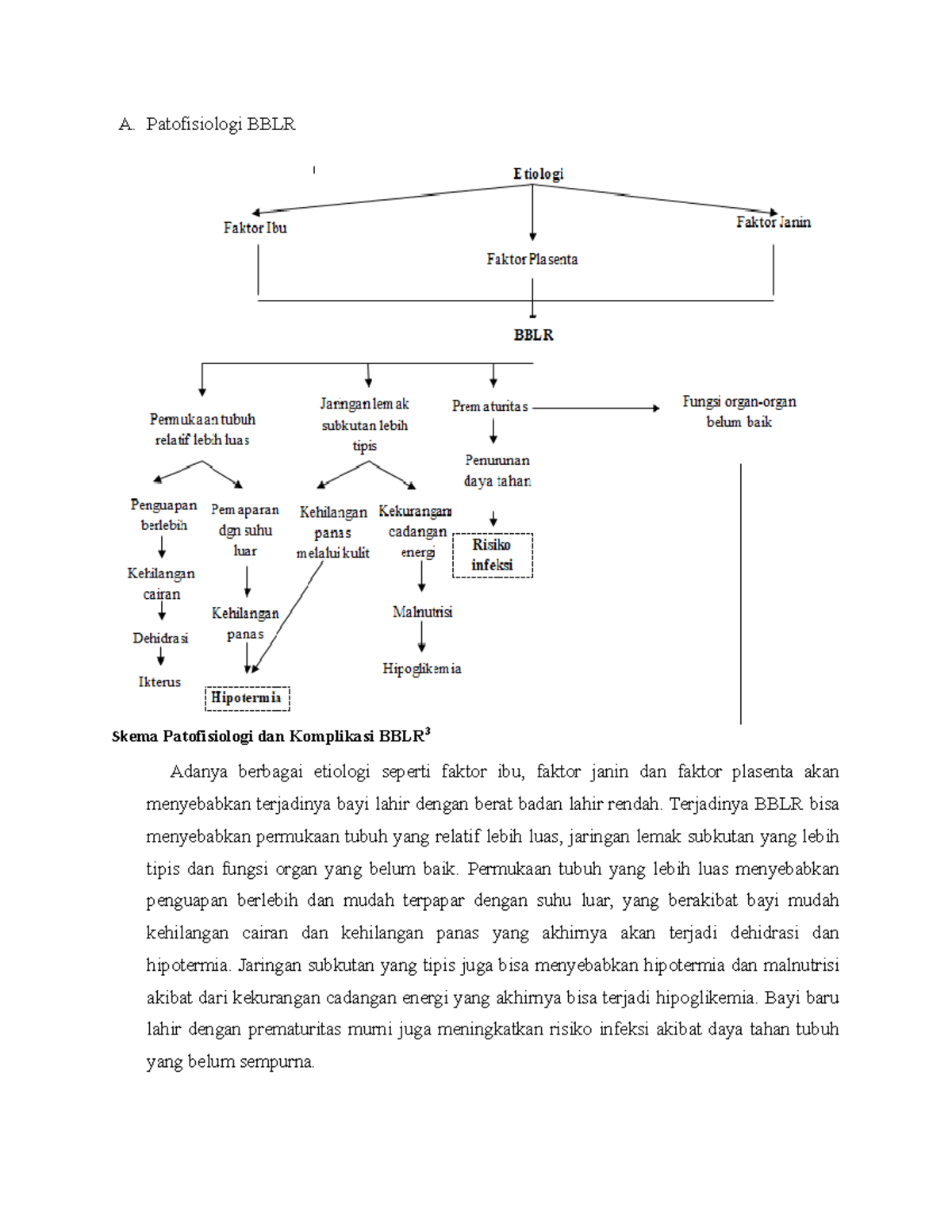 Patofisiologi Dan Penegakan Diagnosis BBLR - A. Patofisiologi BBLR ...