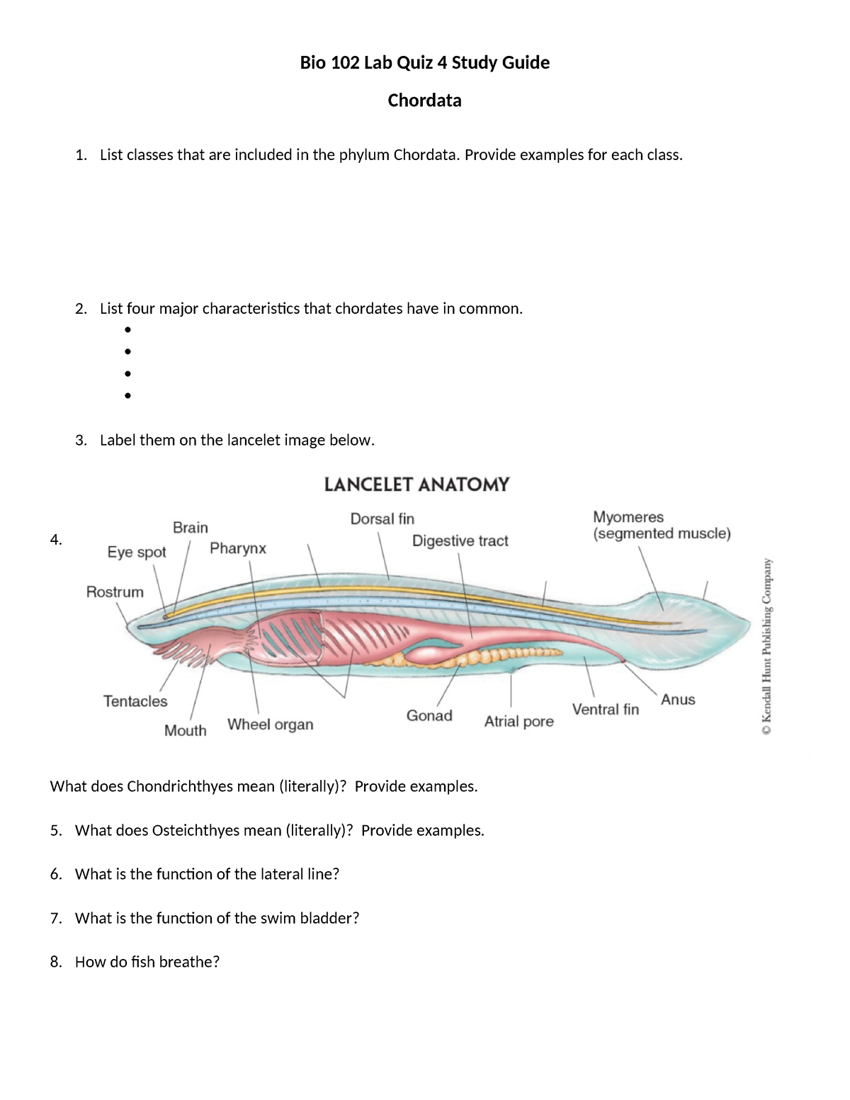 Bio 102 Lab Quiz 4 Homework & Study Guide Fall 2019 - Bio 102 Lab Quiz ...