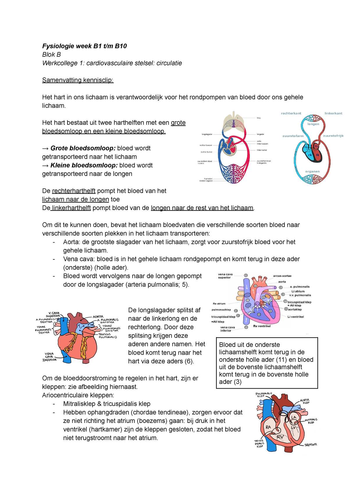 Fysiologie Week B1 T M B10 (Blok B) - Fysiologie Week B1 T/m B Blok B ...