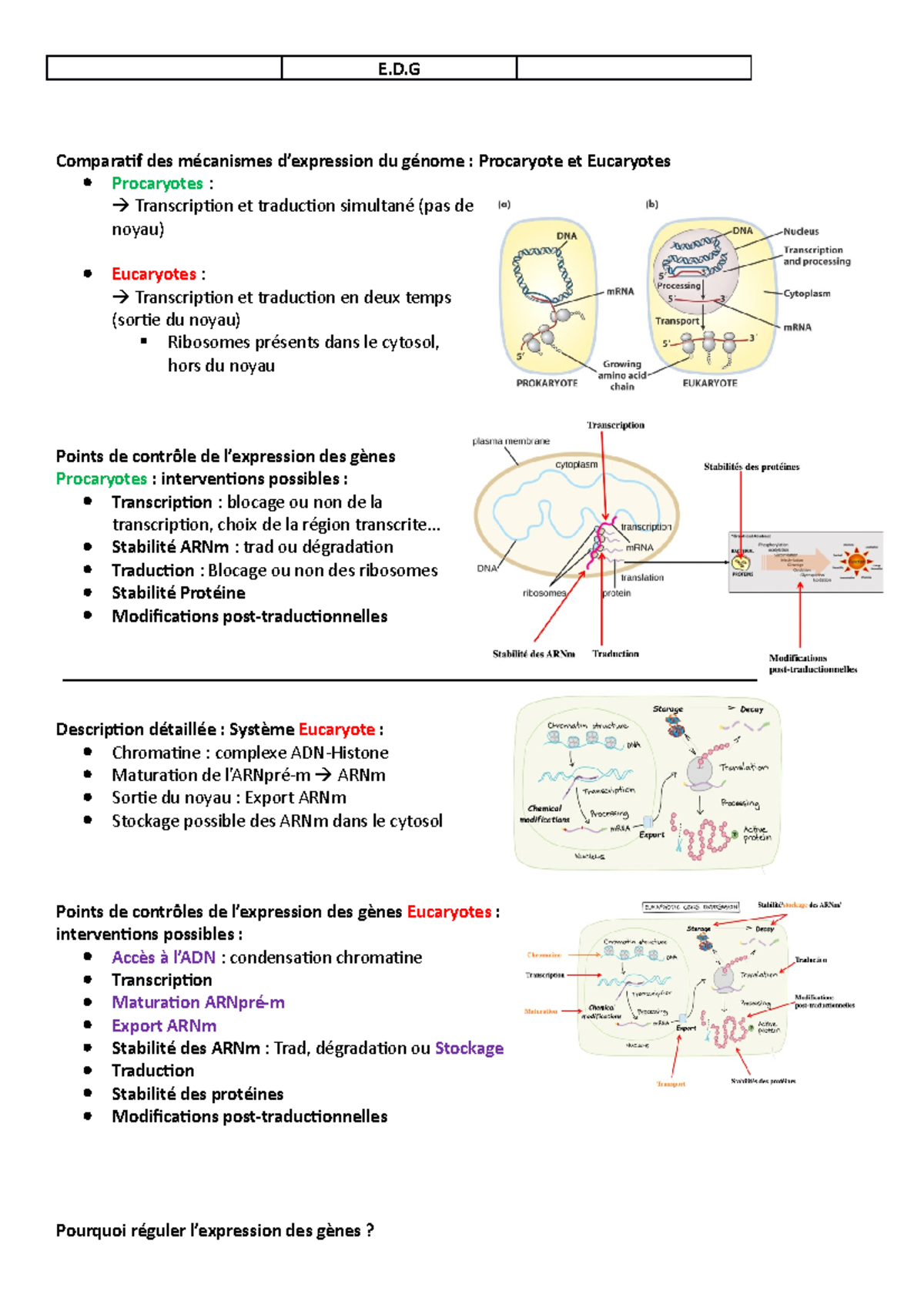 Expression Des Gènes Procaryotes Et Eucaryotes - E.D Comparatif Des ...