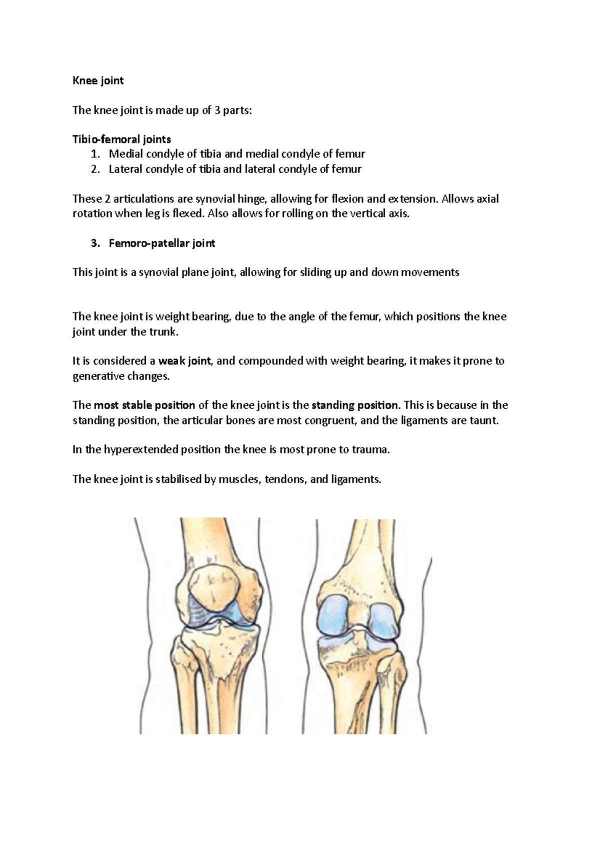 Knee region and joint anatomy - Knee joint The knee joint is made up of ...