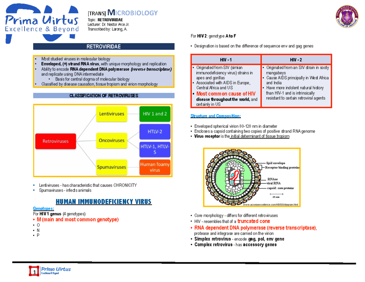 [ Micro] Retrovirus - MICROBIOLOGY - Topic: RETROVIRIDAE Lecturer: Dr ...