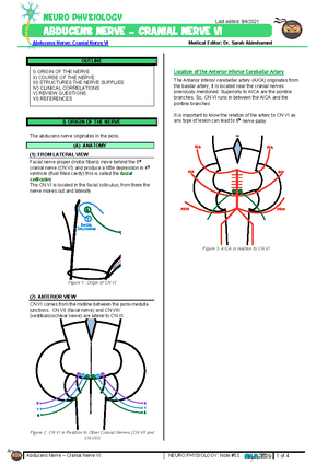 Ascending Tracts Dorsal Column Medial Lemniscus atf - 1 of 4 24 ...