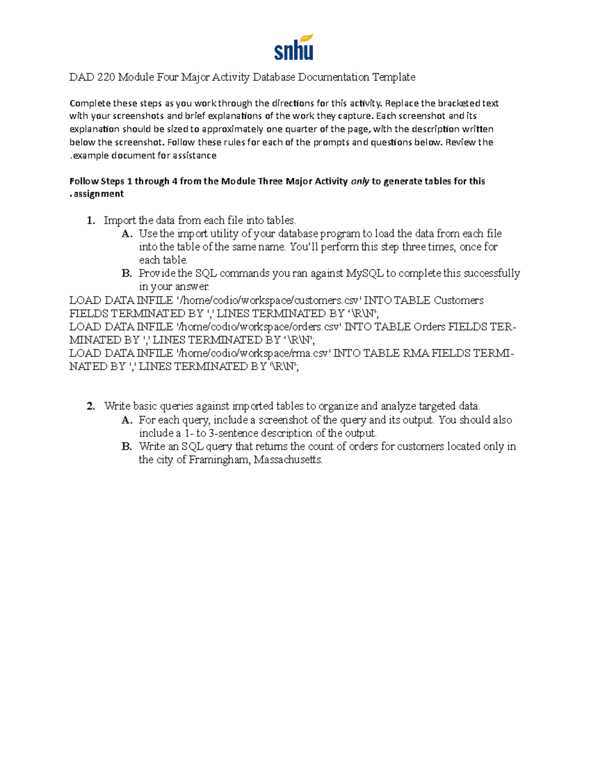 Activity Database Documentation Template DAD 220 Module Four Major