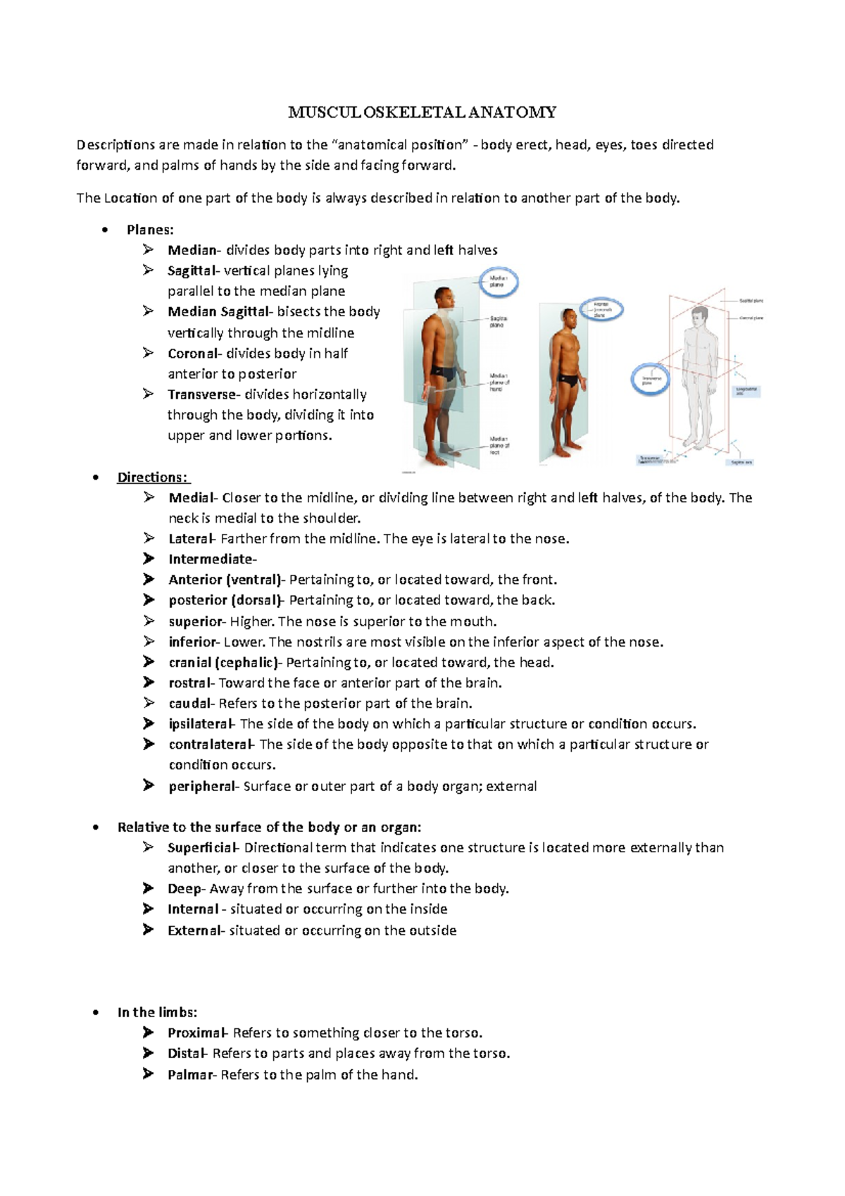 Musculoskeletal Anatomy - MUSCULOSKELETAL ANATOMY Descriptions are made ...