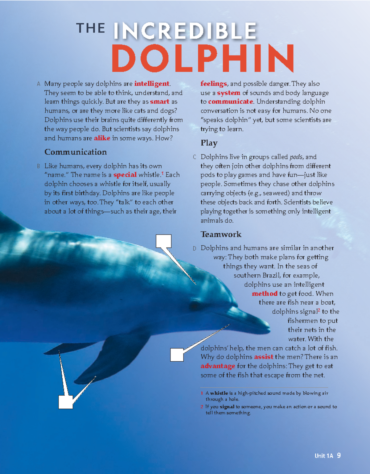 1 - asd - Many people say dolphins are intelligent. They seem to be ...