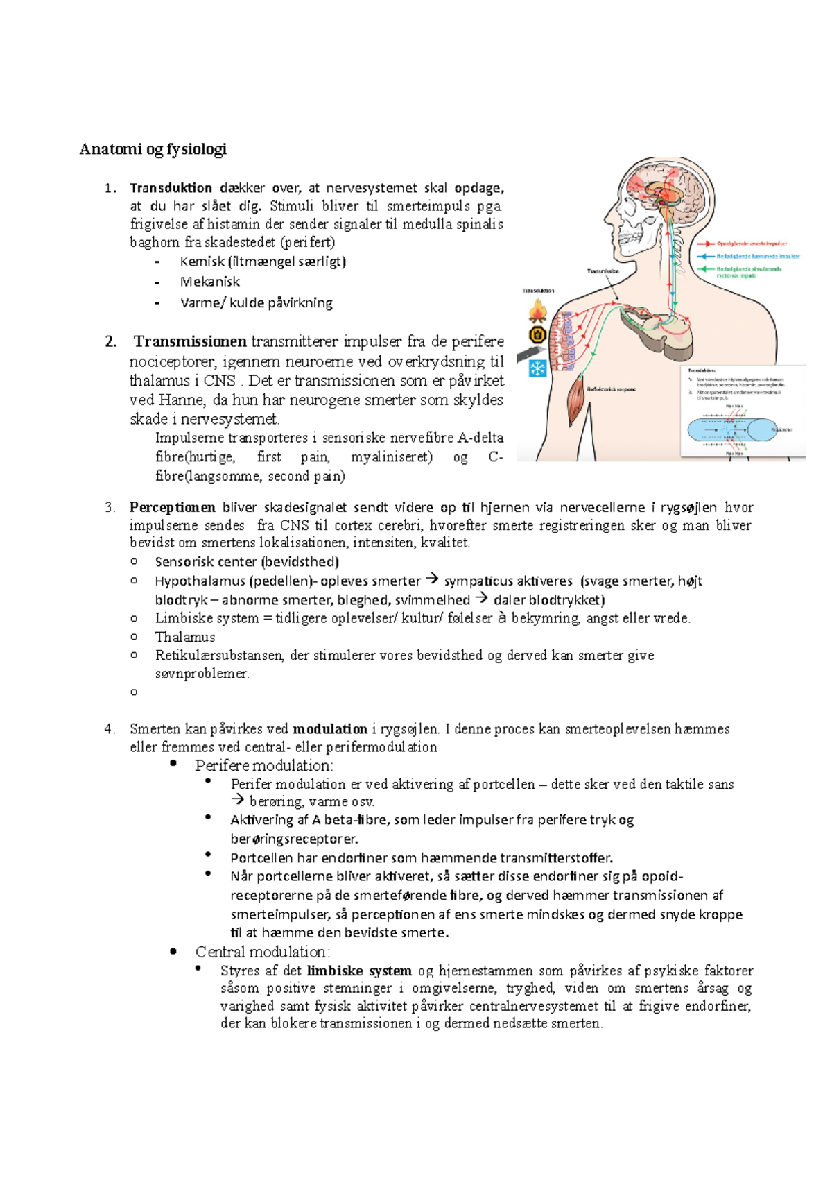 Smerter- Anatomi Og Fysiologi - Anatomi Og Fysiologi 1. Transduktion ...