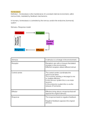 Scientific Report format scaffolding - SCIENTIFIC REPORT DRAFT FEEDBACK ...