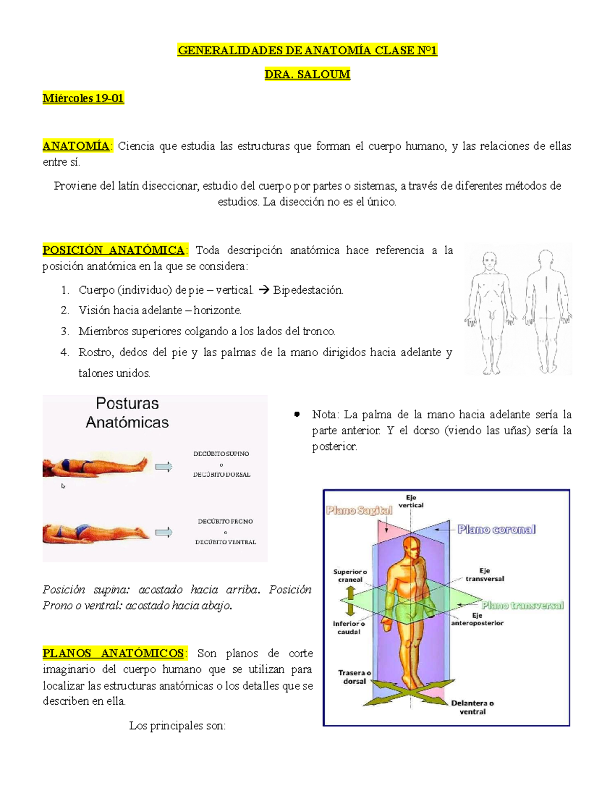 GUIA DE GENERALIDADES DE ANATOMIA - GENERALIDADES DE ANATOMÍA CLASE N ...