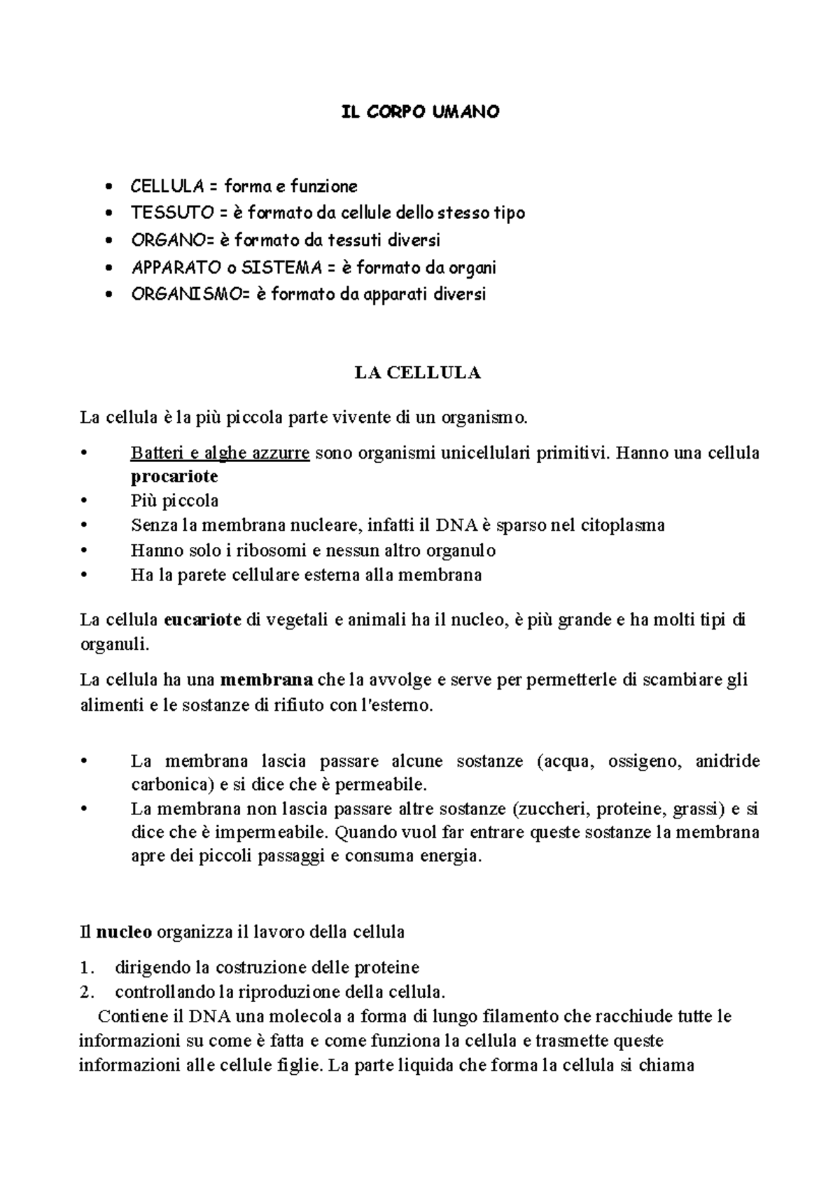 Modello Cranio Umano Dettagliato - Scultura In Resina Per Artisti, Studio Anatomico, 10x8 Cm - Foto 5