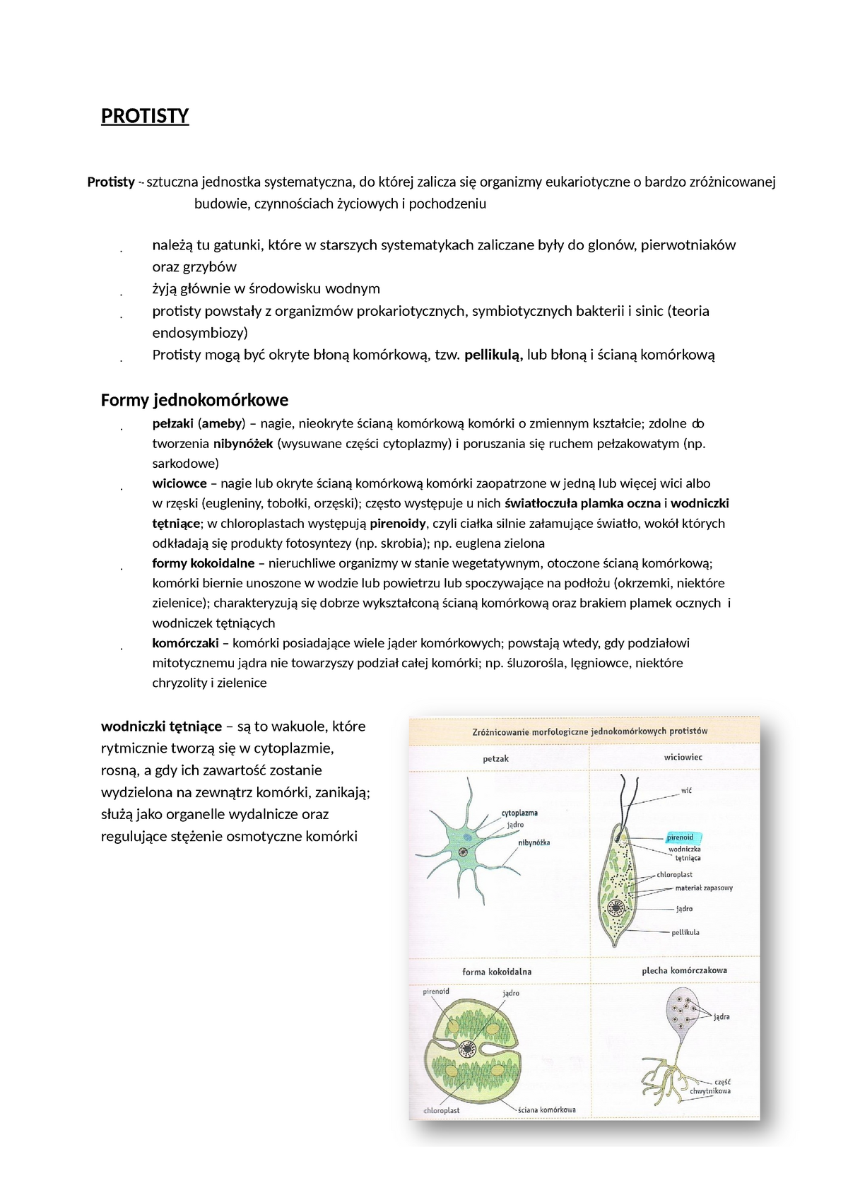 Protisty Notatki Protisty Protisty ‐sztuczna Jednostka Systematyczna Do Której Zalicza Się 1160