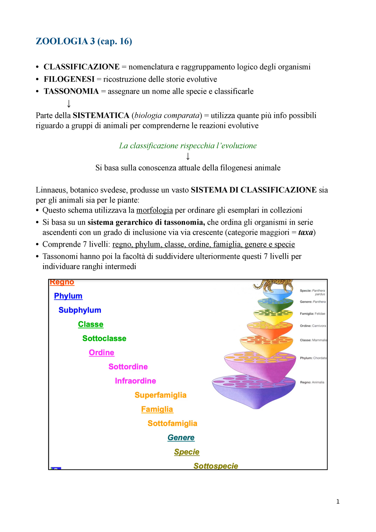 Appunti Lezione 3 - Tassonomia E Filogenesi Degli Animali - ZOOLOGIA 3 ...