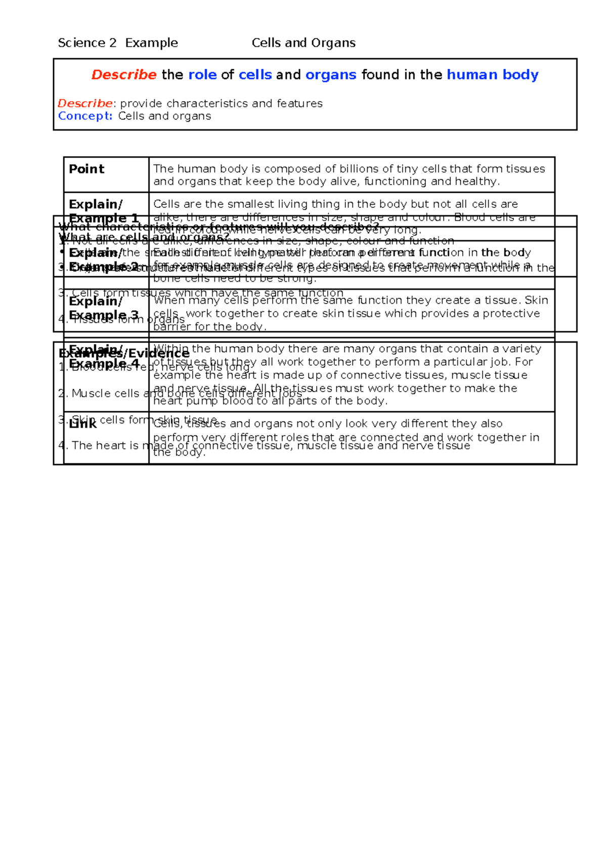 Science 2 Example. pages - Science 2 Example Cells and Organs Point The ...