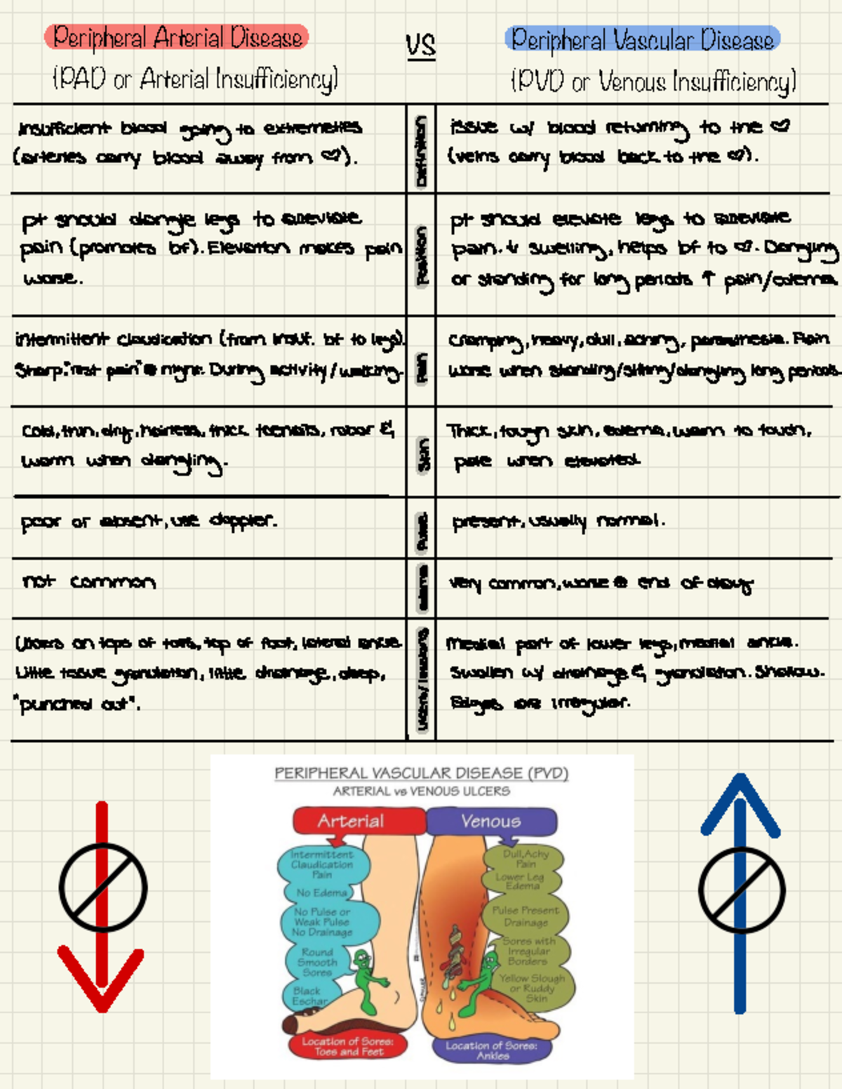 Stop Metatarsal Pain Now: Bar Vs. Pad Comparison - bxy0s4j