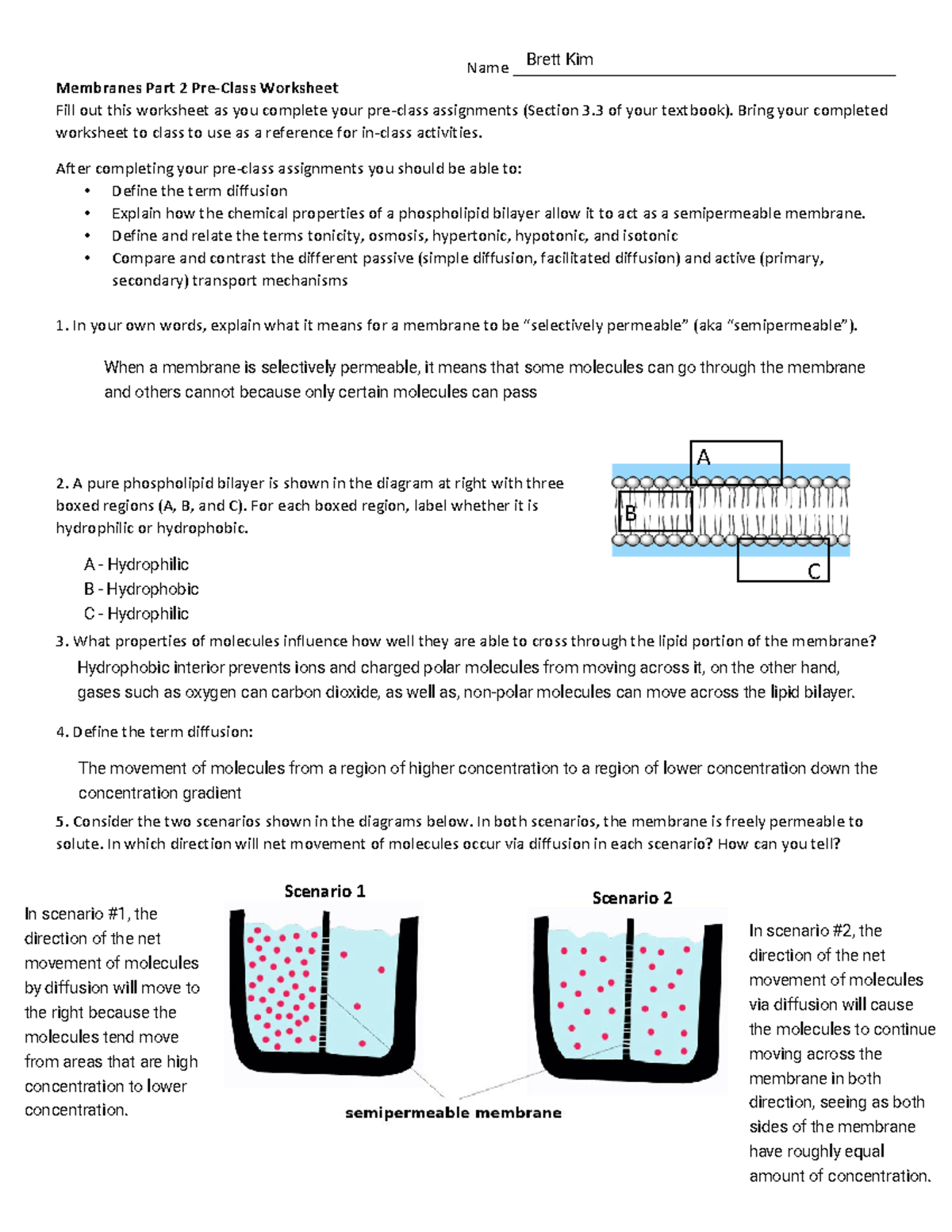 Week 2b Membranes II v2 - Name ...