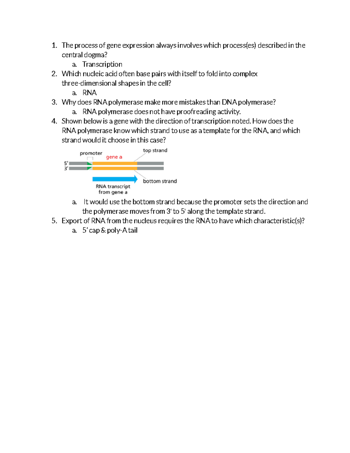 ch-7-reading-quiz-ch-7-from-dna-to-protein-how-cells-read-the