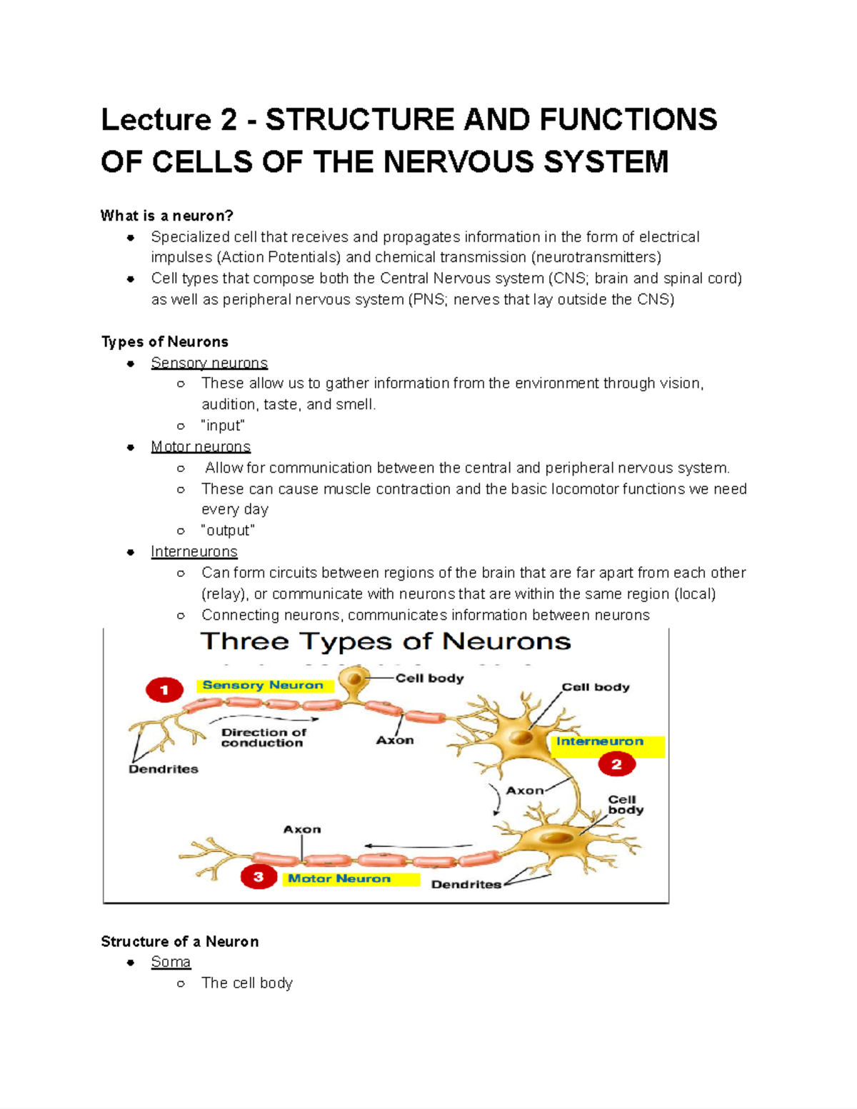 Quiz 2 - Behavioral Neuroscience Quiz Notes - Lecture 2 - STRUCTURE AND ...