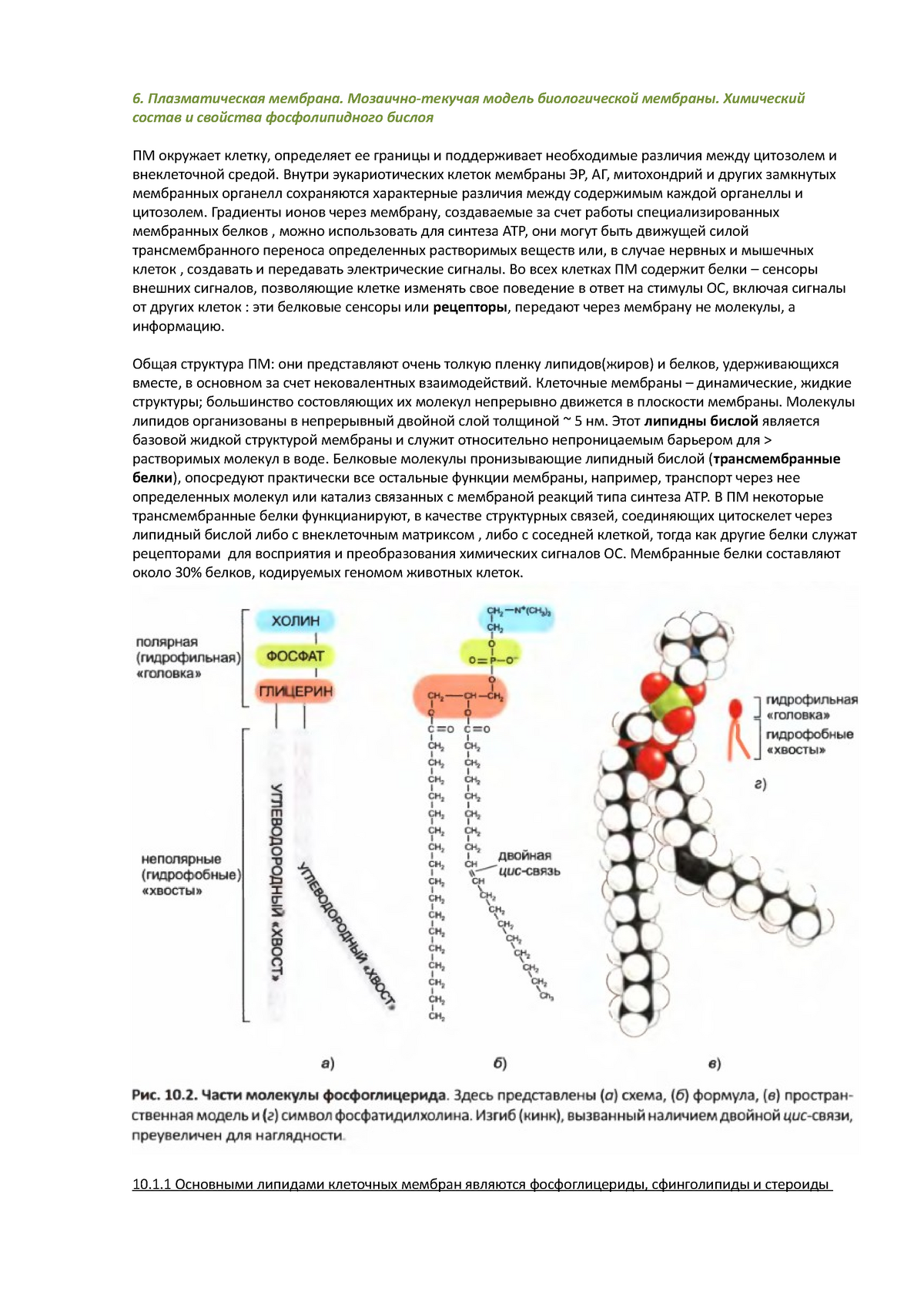 Tsitologia - 6. Плазматическая мембрана. Мозаично-текучая модель  биологической мембраны. Химический - Studocu