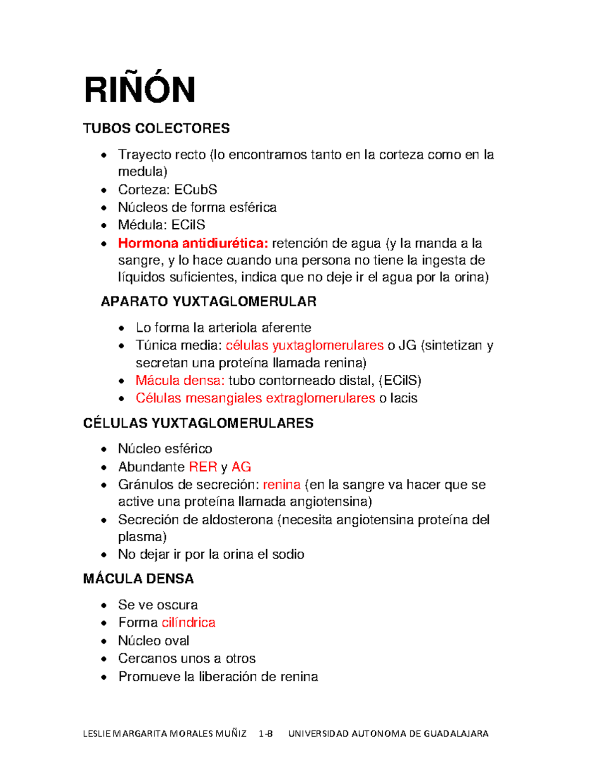 Apunteeee - RIÑÓN TUBOS COLECTORES Trayecto recto (lo encontramos tanto ...