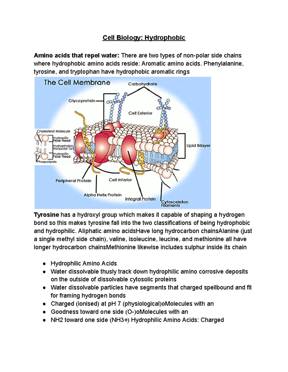Cell Biology Hydrophobic Cell Biology Hydrophobic Amino acids that