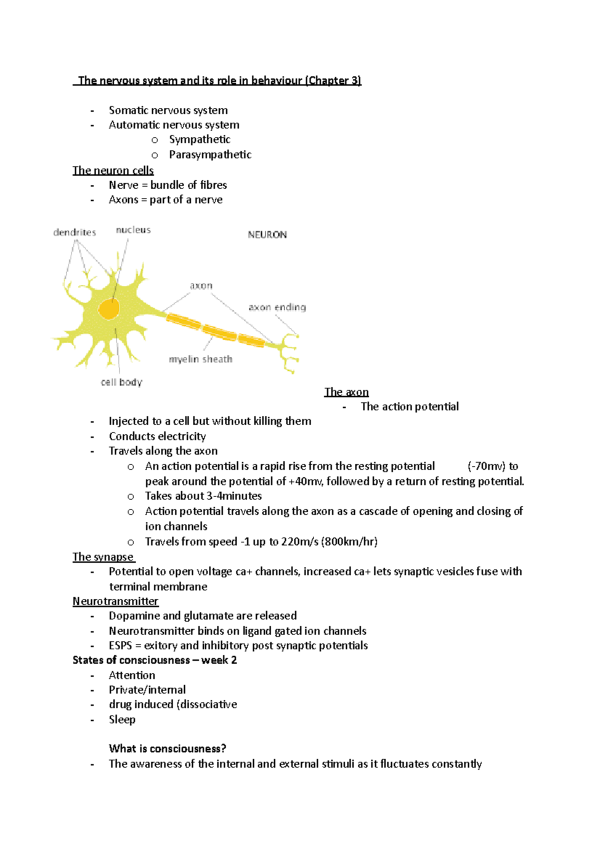 Pysc101 lectures - Psychology 101 lecture notes - The nervous system ...