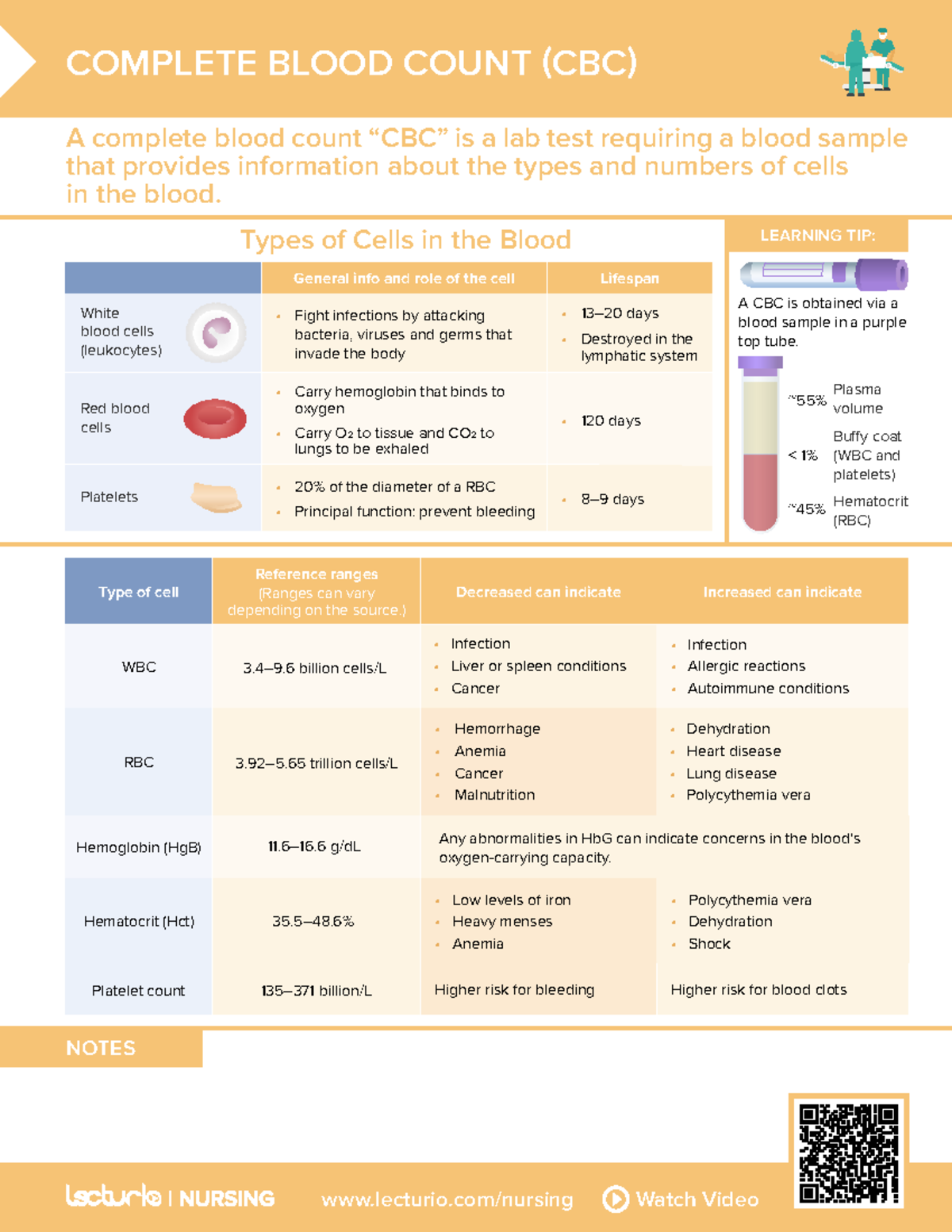Cbc - cbc simple - lecturio/nursing Watch Video NOTES A complete blood ...