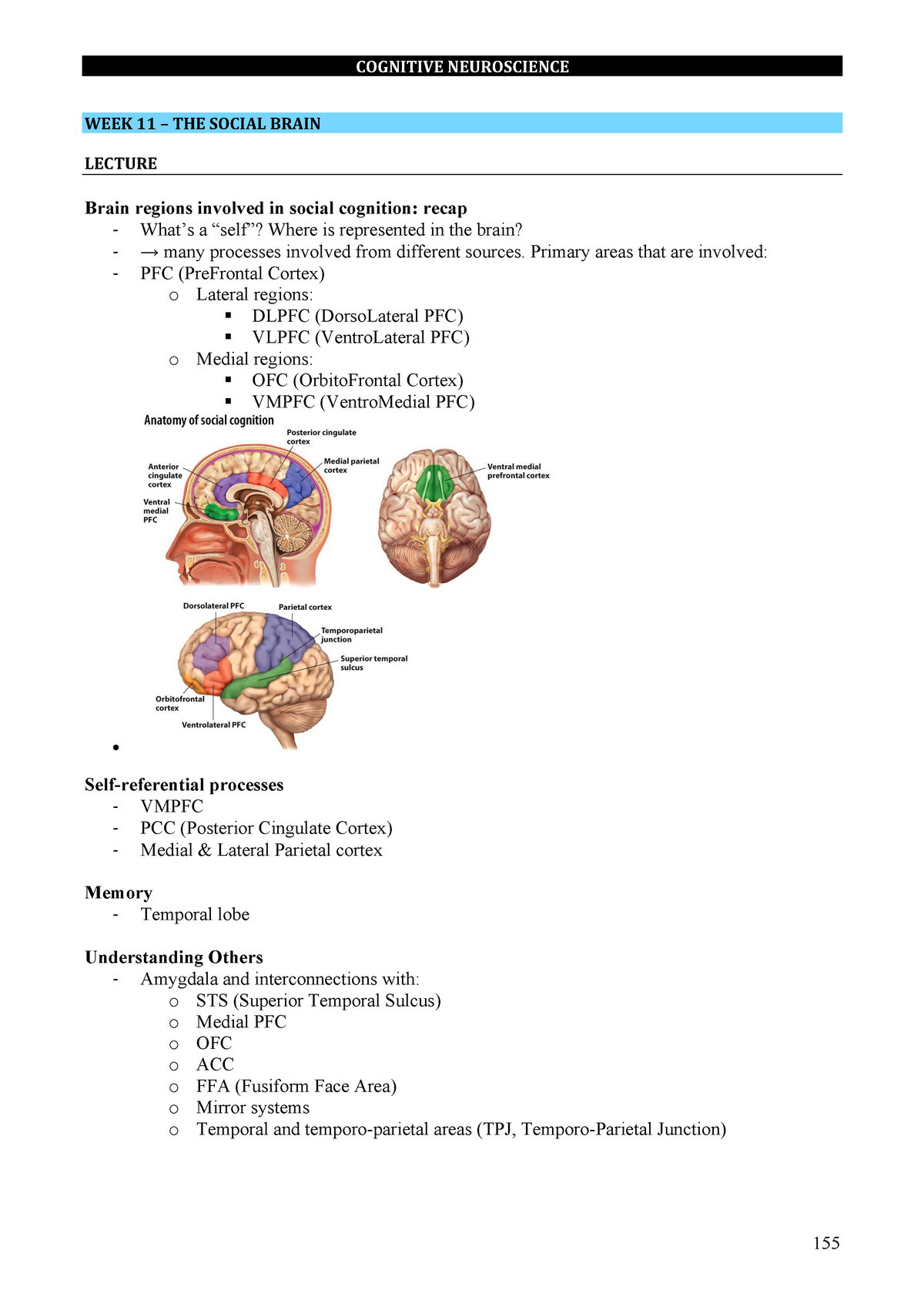 Social brain summary - WEEK 11 – THE SOCIAL BRAIN LECTURE Brain regions ...