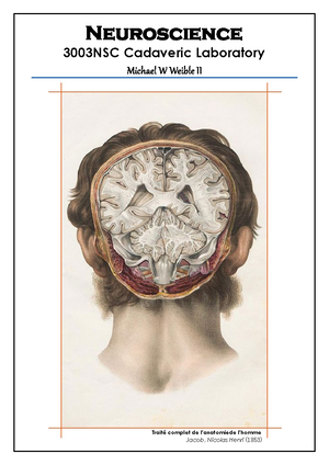 [ Print] Lamb Brain 3003NSC - DISSECTION OF THE LAMB'S BRAIN ...