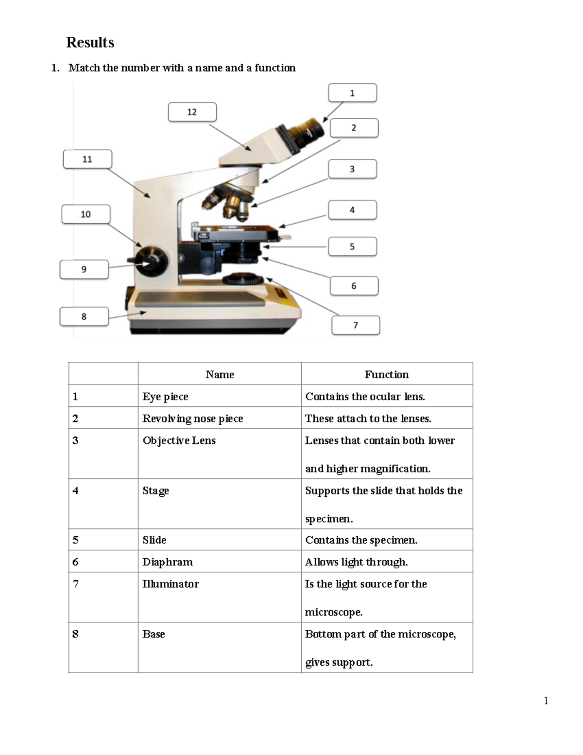 Microscope Lab - Results Match the number with a name and a function ...