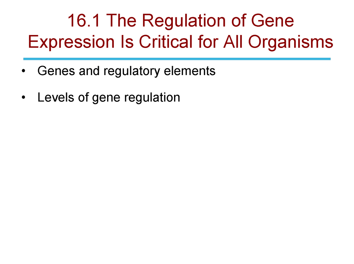 Genetics Chapter 16 - These Are PowerPoint Notes - ####### 16 The ...