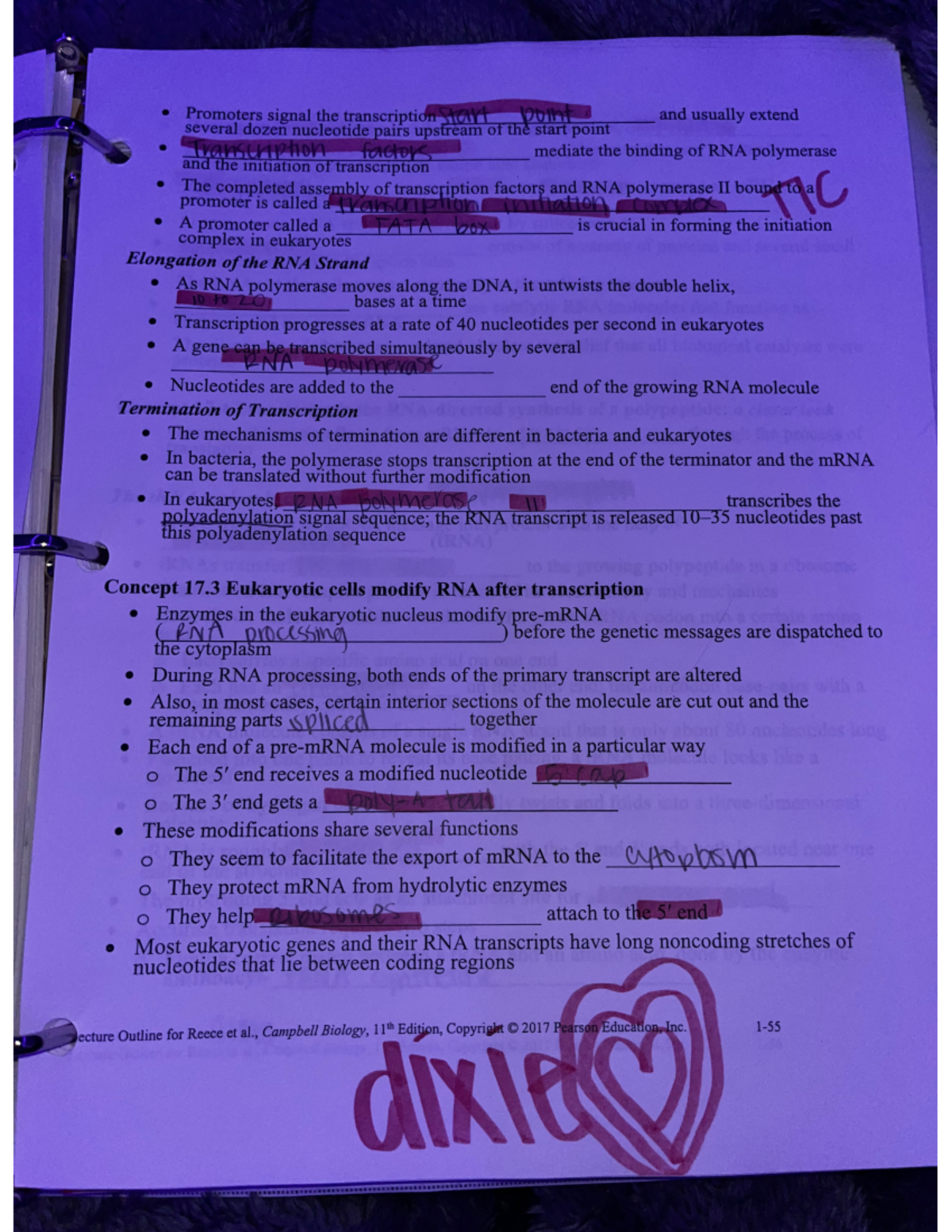 48 - general biology lecture notes - BIO1134 - Studocu