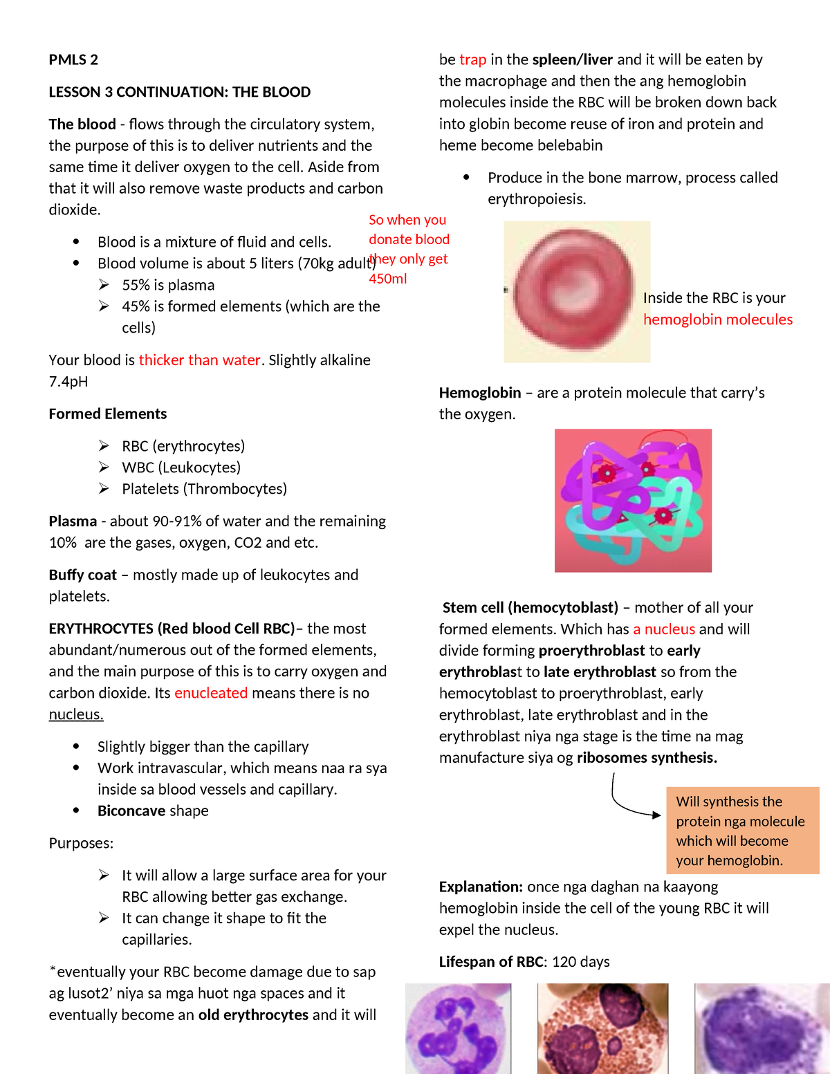 Pmls lesson 3 part 2 notes - PMLS 2 LESSON 3 CONTINUATION: THE BLOOD ...