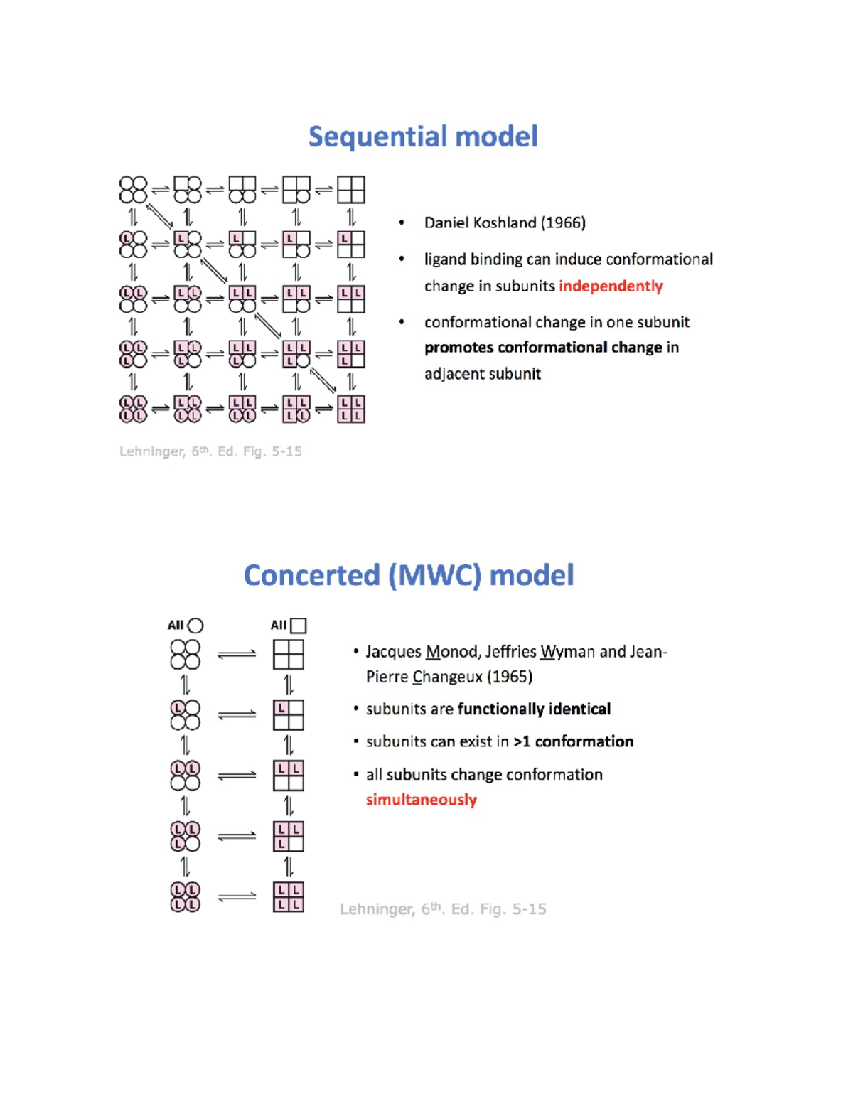 Sequential and Concerted models - Sequential model 1L Daniel Koshland ...
