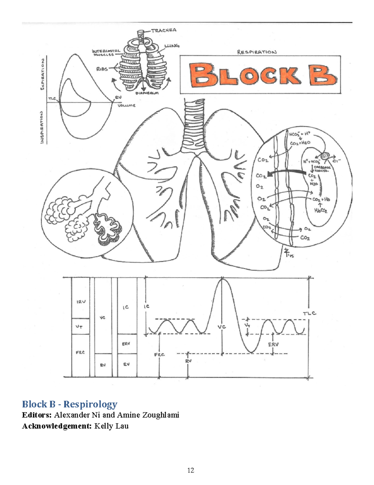Osler NOTES BLO - Block B - Respirology Editors: Alexander Ni and Amine ...