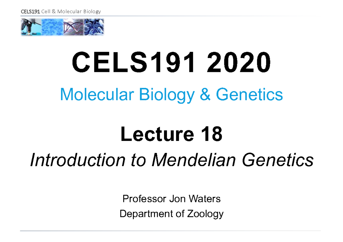 CELS191 2020 L18 Intro To Mendelian Genetics Colour - CELS191 2020 ...