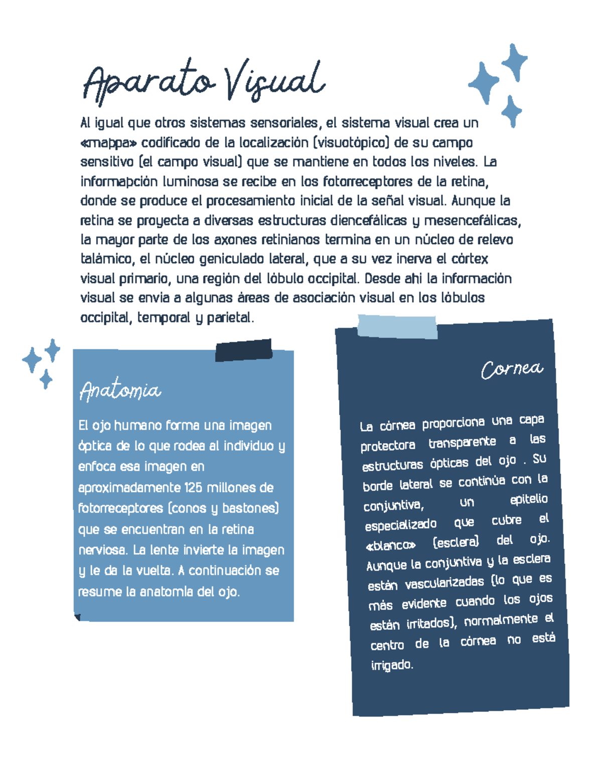 Aparato Visual - La información luminosa se recibe en los ...
