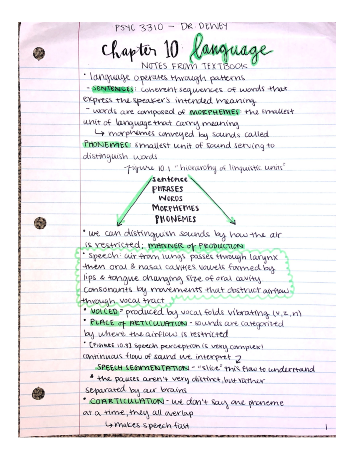 Chapter 10 - PSYC 3310 Cognitive Psychology - Prof. Dewey - PSYC 3310 ...