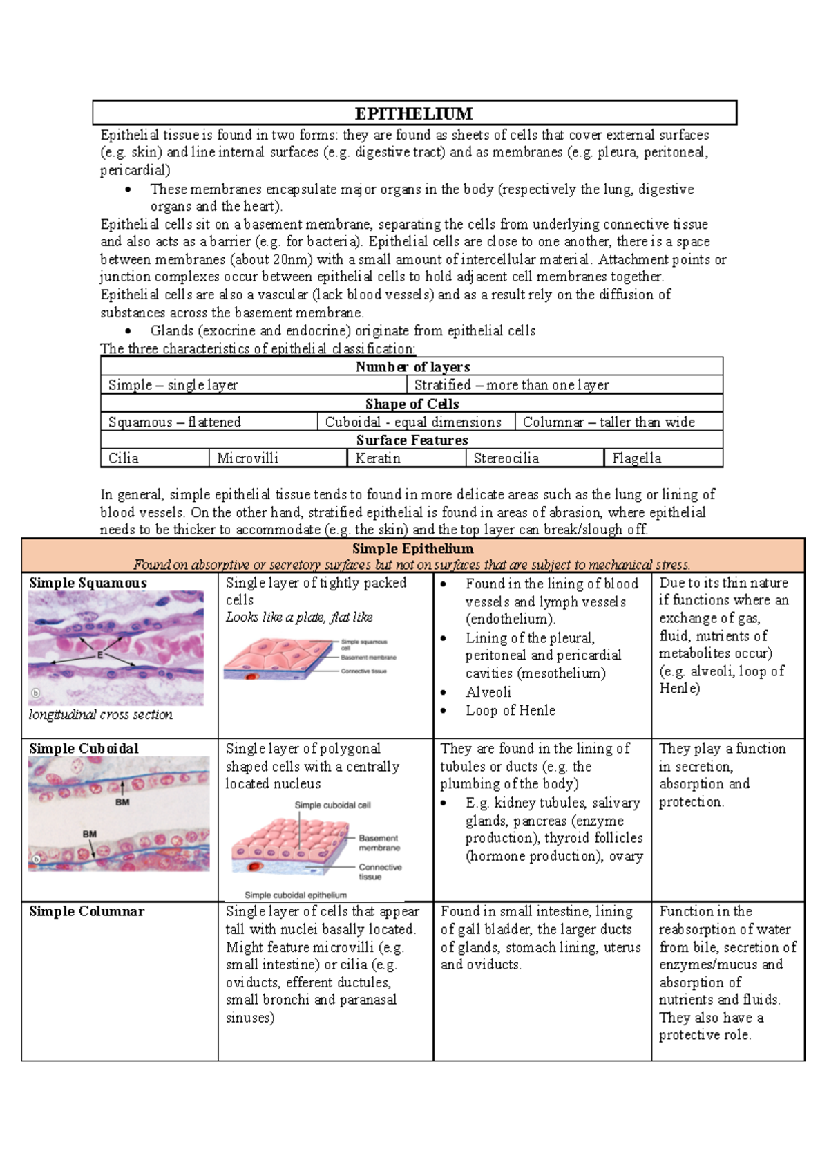 ANAT - Lecture Notes MId Sem Lecture Notes - EPITHELIUM Epithelial ...