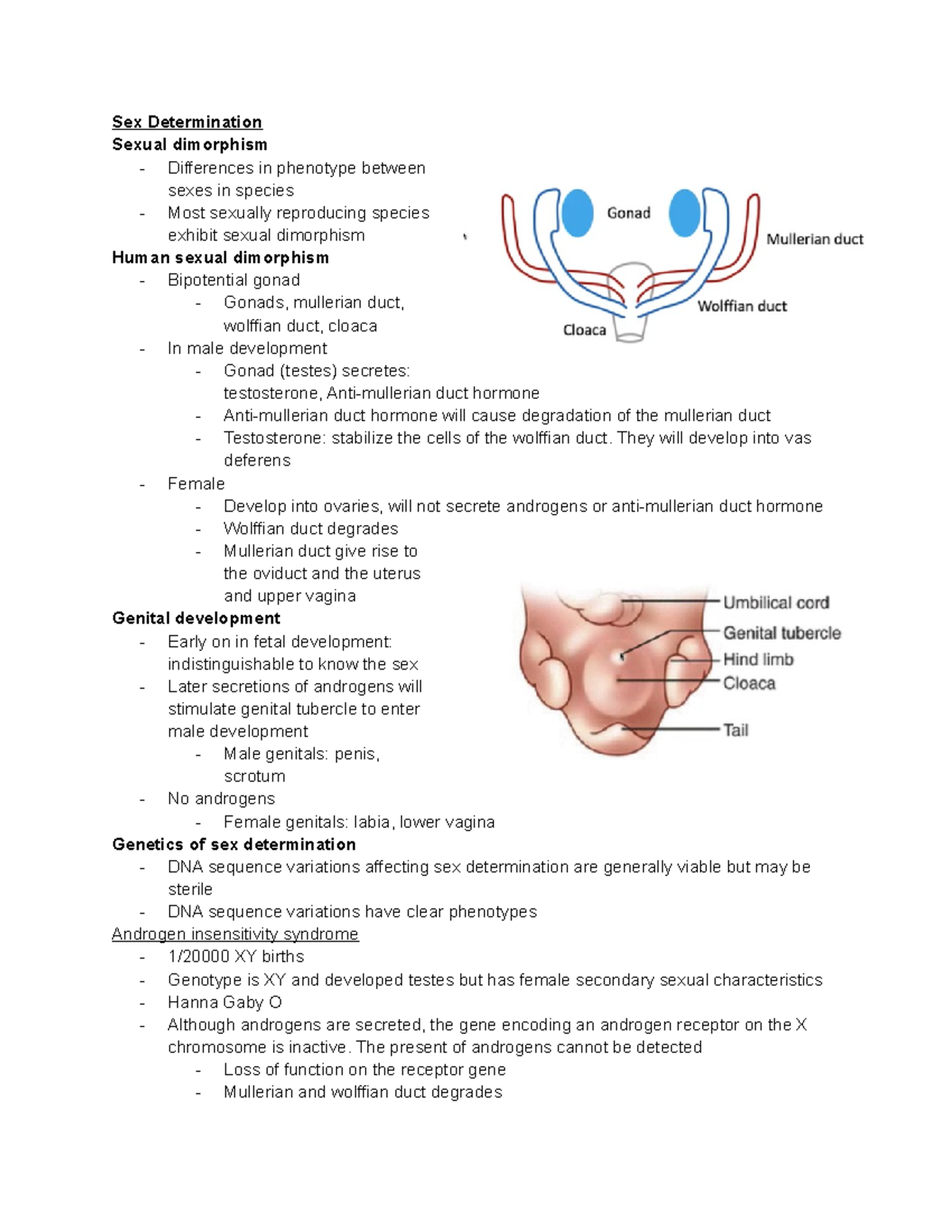 Week 12 Lectures Genetics Notes Sex Determination Sexual Dimorphism