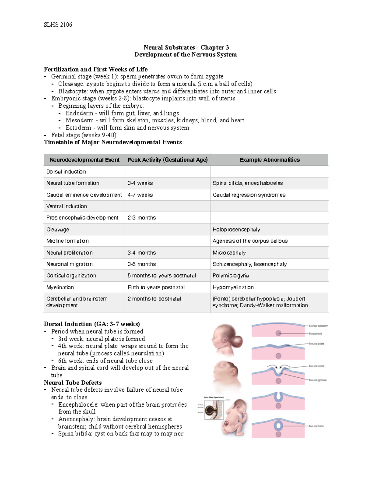 Neural Substrates Chapter 3 - Slhs 2106 Neural Substrates - Chapter 3 