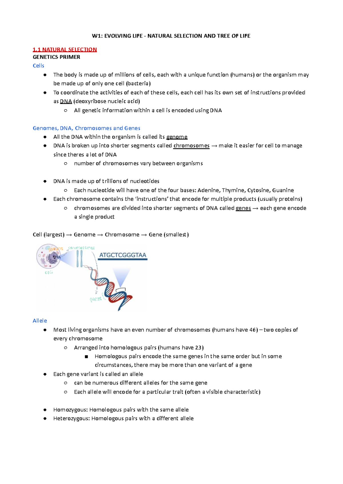 W1 Evolving Life – Natural Selection and Tree of Life - W1: EVOLVING ...