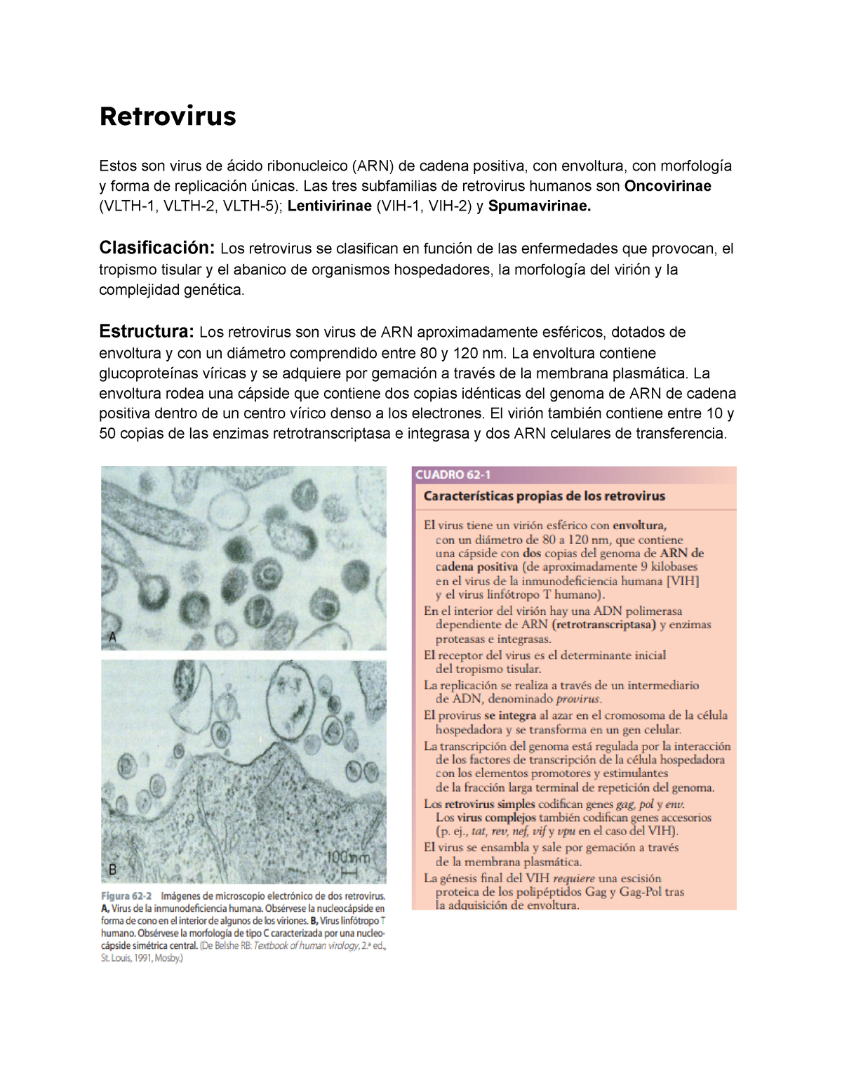 Retrovirus Resumen De Microbiologia Patologia E Inmunidad