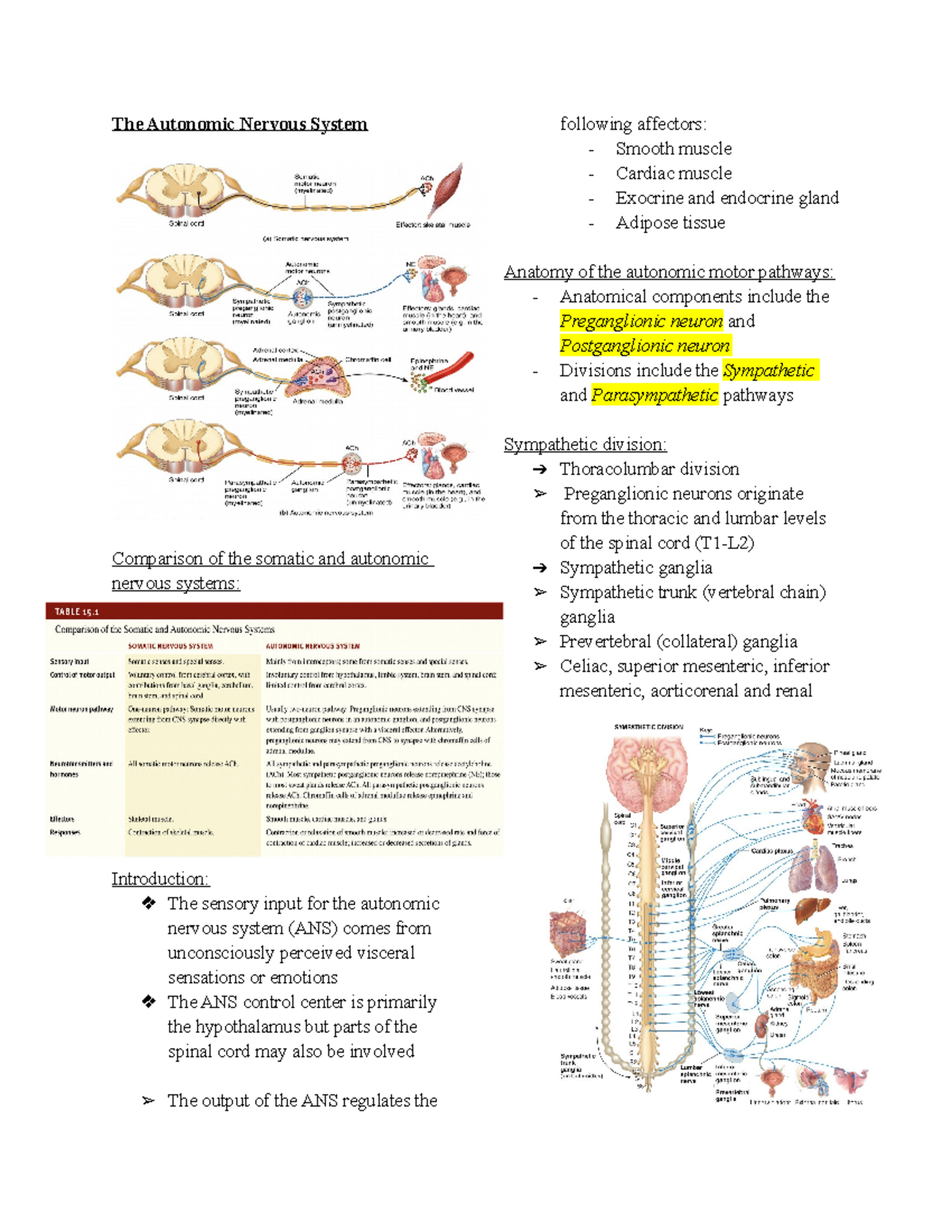 HAP101 test 4 review - The Autonomic Nervous System Comparison of the ...