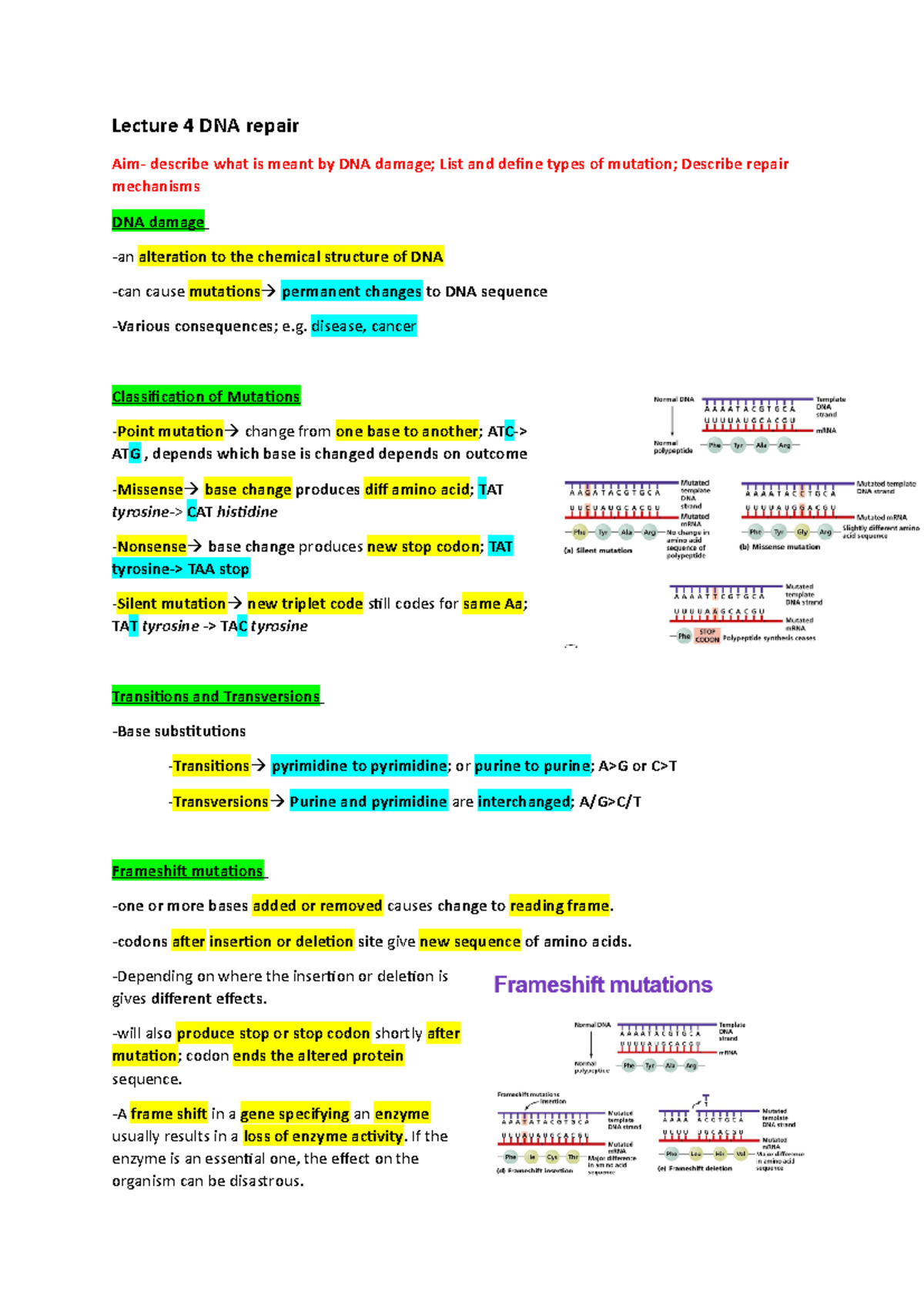 What Is Meant By Dna Repair