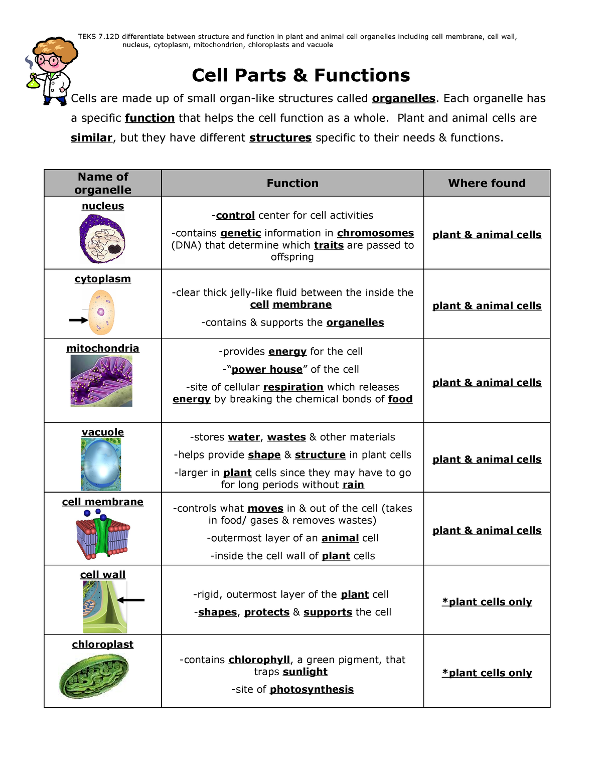 cell-parts-and-functions-cell-parts-functions-cells-are-made-up-of