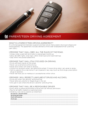 driver education dashboard assignment (basic car control) part 2