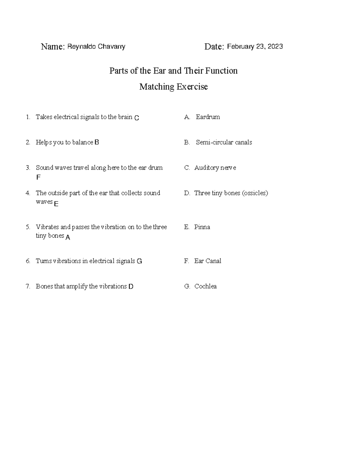 Parts Of The Ear And Their Function Name Date Parts Of The Ear And